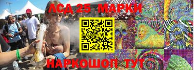 прущие грибы Краснознаменск