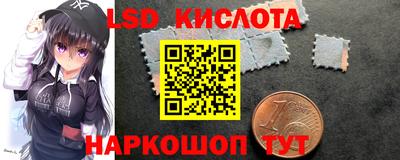 прущие грибы Краснознаменск